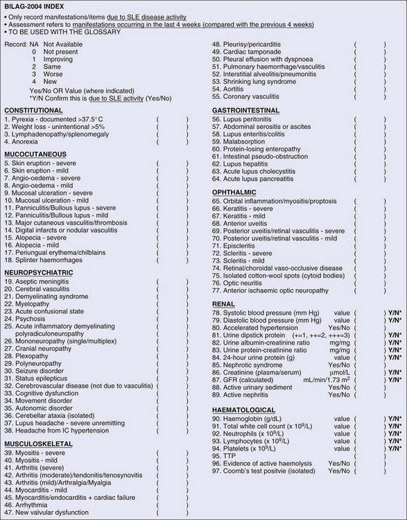 BILAG-2004