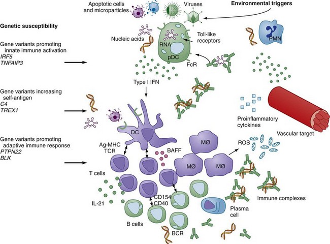 pathophysiology